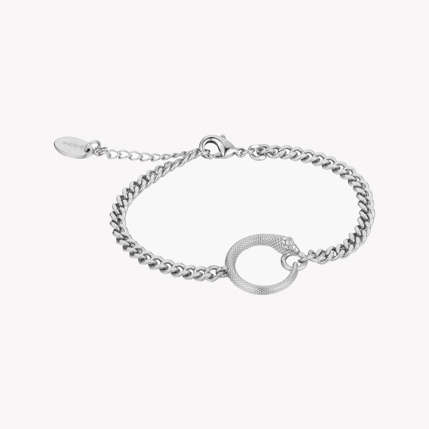 Just Cavalli Women's Silver Stainless Steel Watch, Silver Dial | Jc1l330m0045