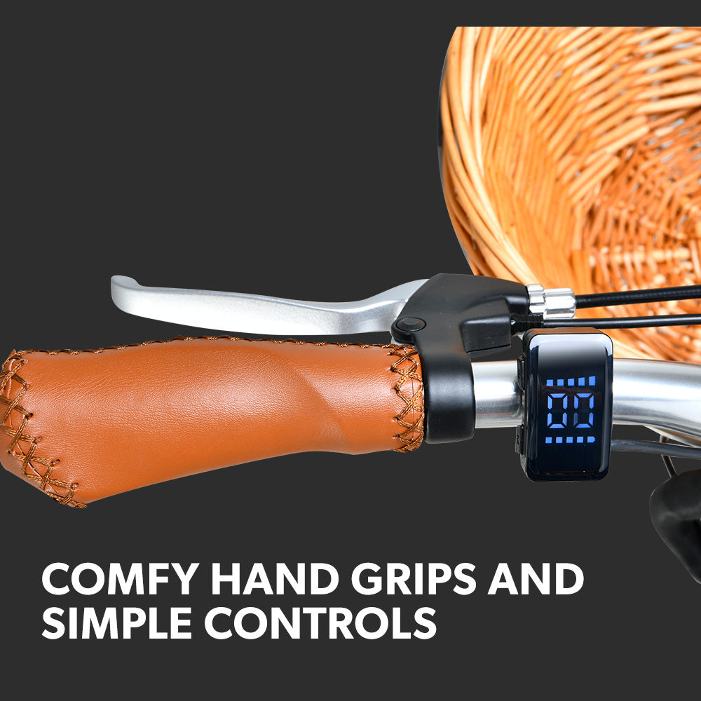 Bicicleta eléctrica vintage NNEMB 2023 Laneway 5 con sensor de par, tamaño mediano, color verde menta