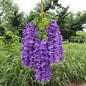 12pcs Wisteria Flowers String Hanging Garland Outdoor Wedding Garden Arch Decor Home Party Decoration Artificial Flower