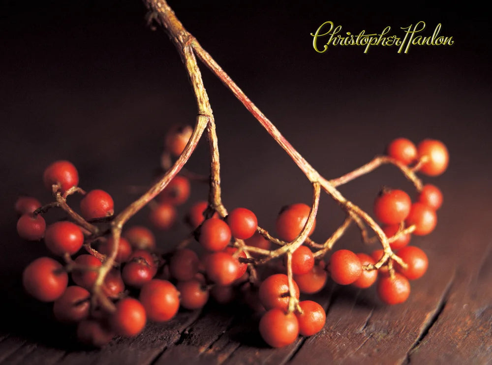 GOLD + PLATINUM BESPOKE | ANTI ÂGE FACE LIFT MOISTURIZER | All Skin Types