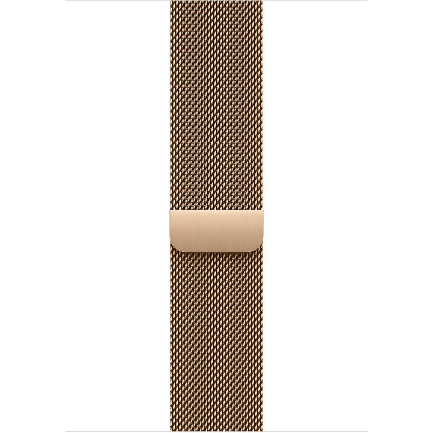 Apple MXMR3ZM/A inteligentne akcesorium osobiste Band Złoto Stal nierdzewna (MXMR3ZM/A)