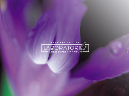 TONIQUE 1875 – ECCENTRIC ARTISAN | INTENSE SHOWER GEL